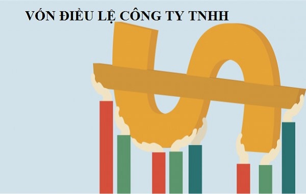 Quy định về vốn điều lệ công ty TNHH Một thành viên